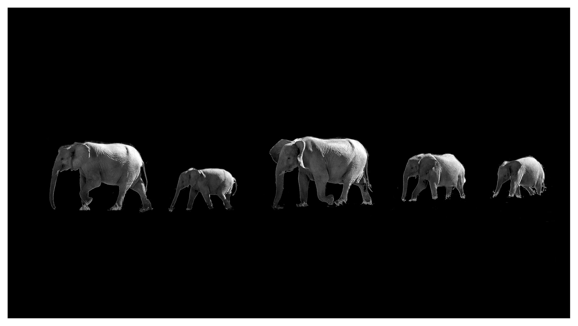 At least hang some elephants on the wall.