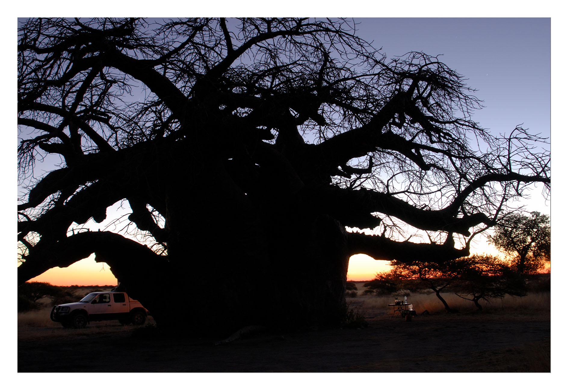 Našli jsme ho a kempovali pod největším baobabem ubu